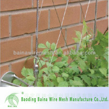 stainless steel wire rope mesh net for green wall cladding